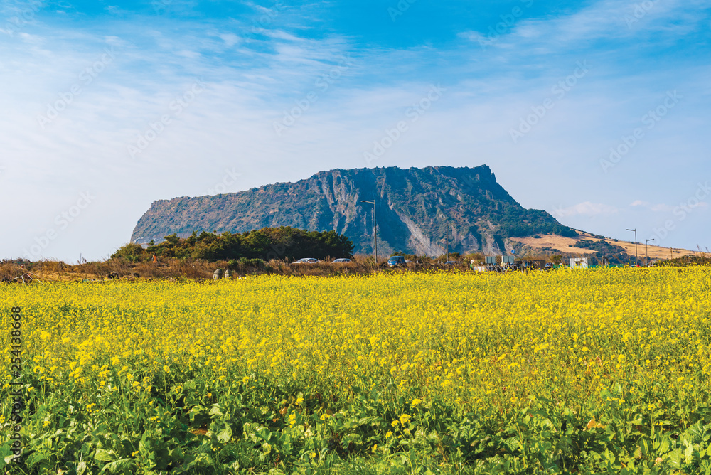 adobestock 254138668 preview