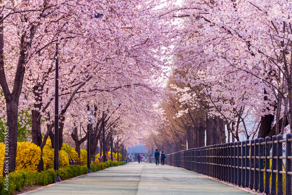 adobestock 335975323 preview